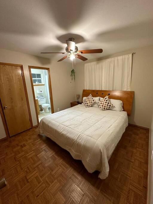Mcallen 4Br With Pool, Shopping & More Extérieur photo