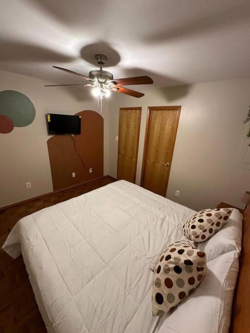 Mcallen 4Br With Pool, Shopping & More Extérieur photo