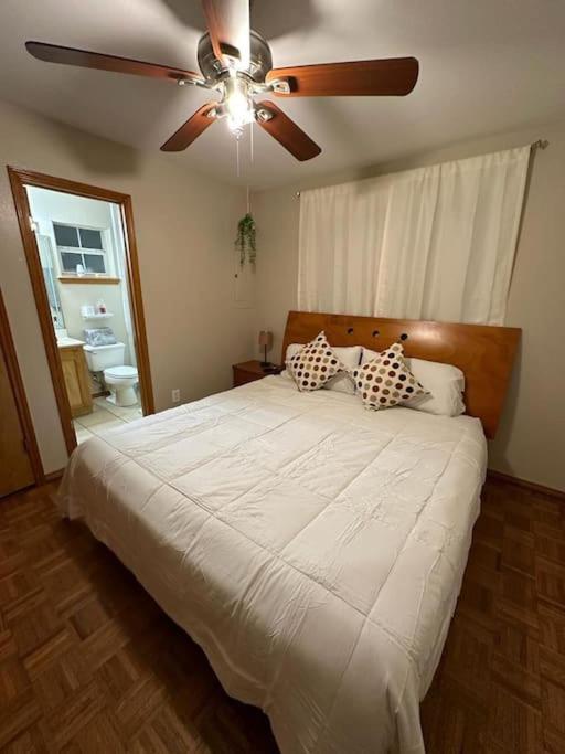 Mcallen 4Br With Pool, Shopping & More Extérieur photo